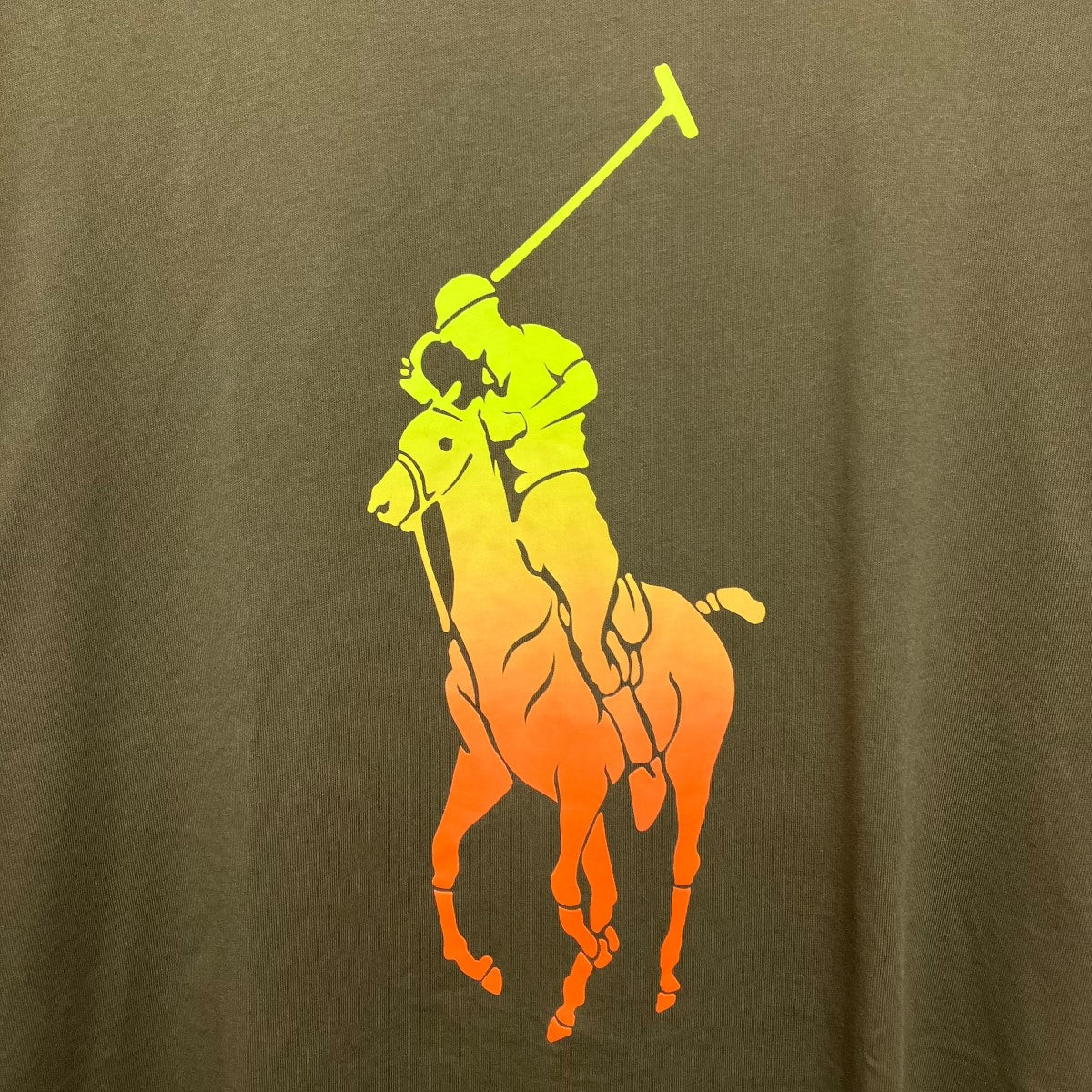 ビッグポニーTシャツ