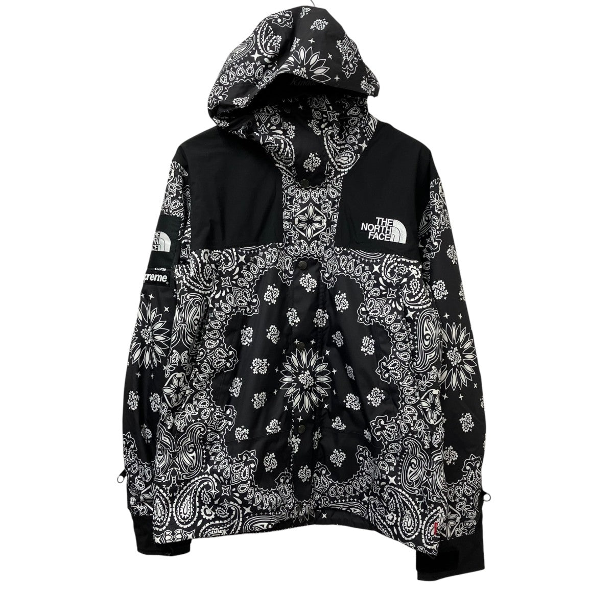 14AWBandana Mountain ParkaマウンテンパーカーNP514001
