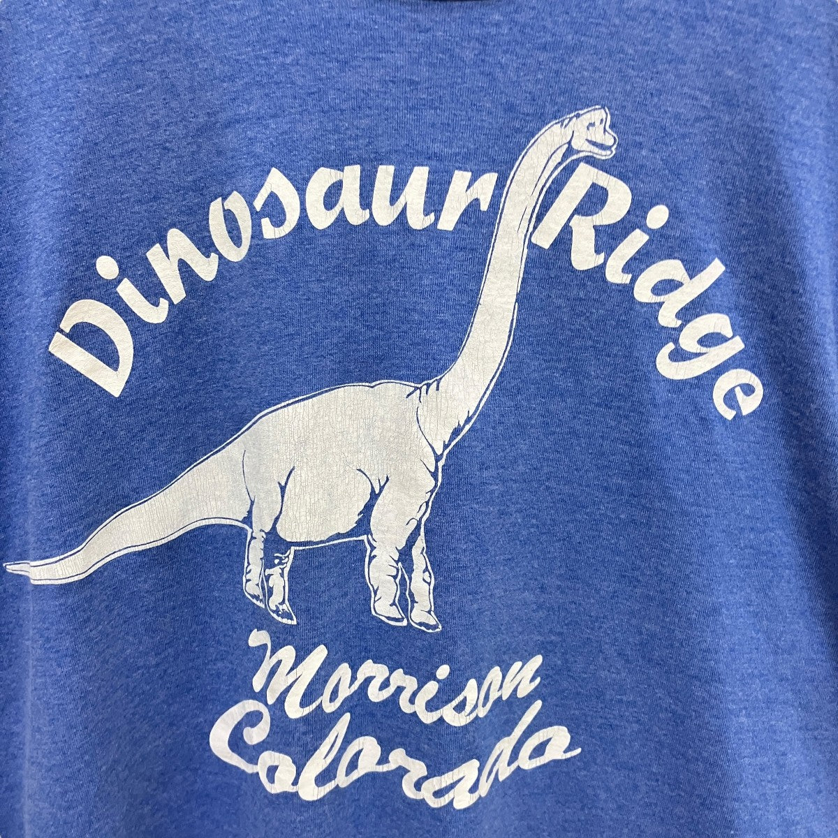 90’s Vintagedinosaur