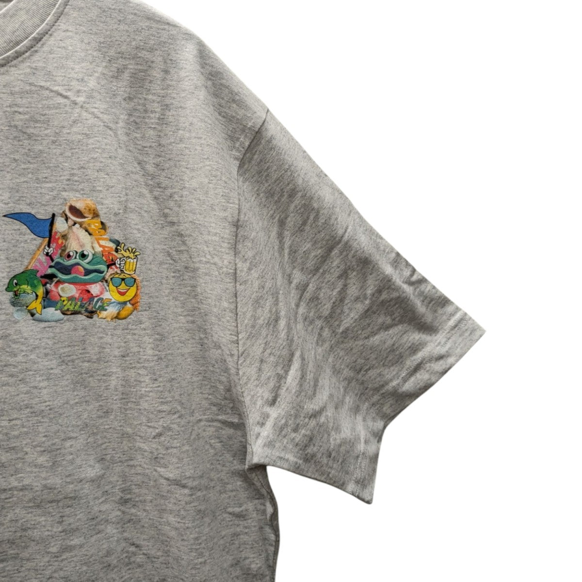 PALACE P SEA T-SHIRTプリントTシャツ 古着・中古-3枚目のアイテム画像
