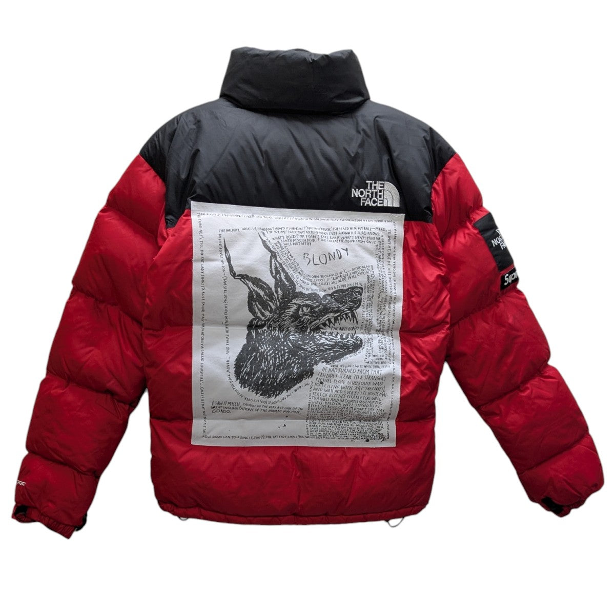 Raymond Pettibon Nuptse ダウンジャケット