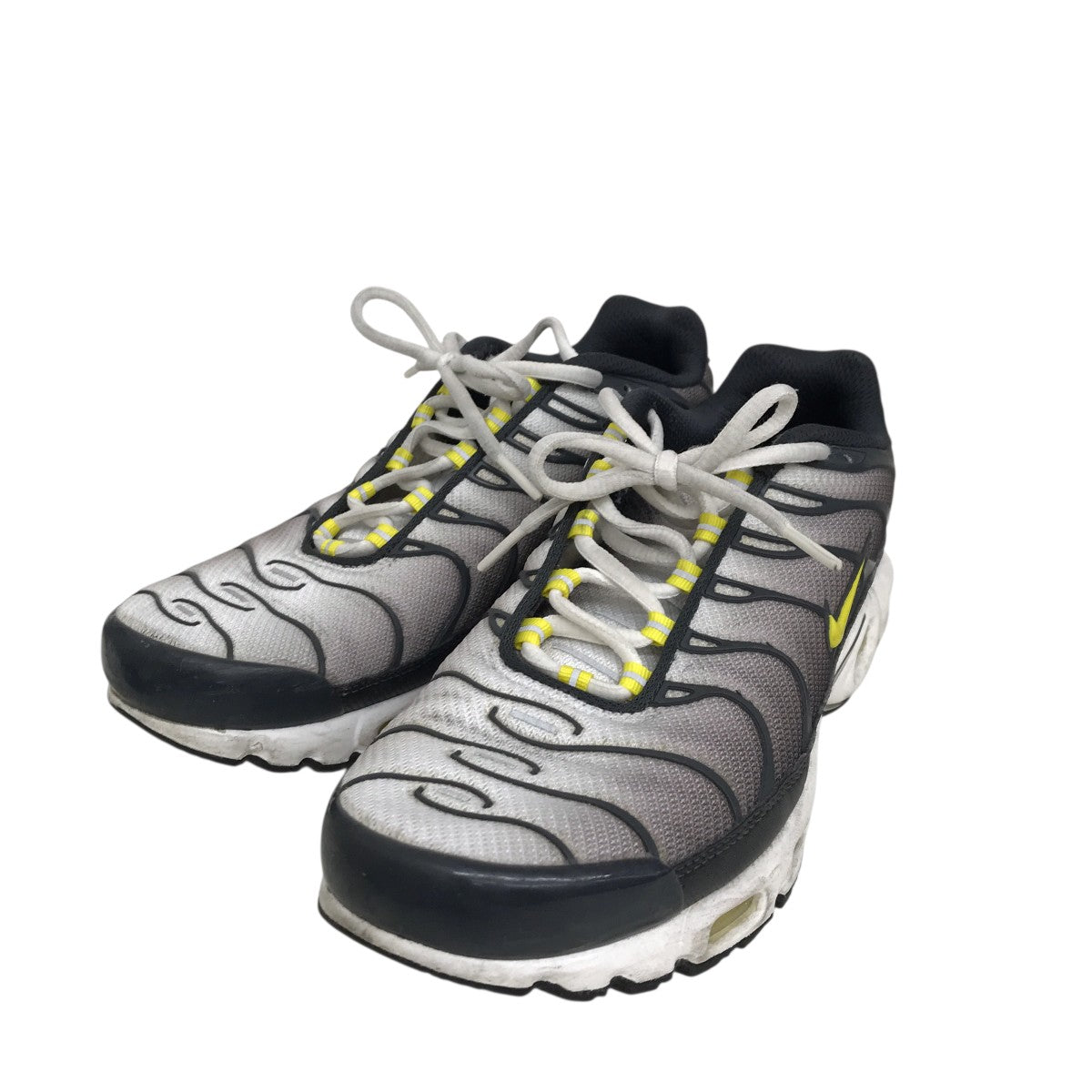 NIKE(ナイキ) AIR MAX PLUSスニーカーCI2299-002 CI2299-002 グレー