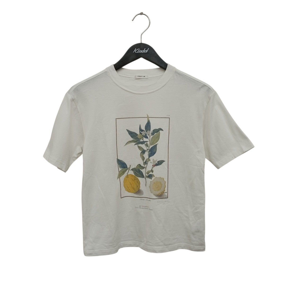 FRAY ID(フレイアイディー) ボタニカルアートプリントTシャツ
