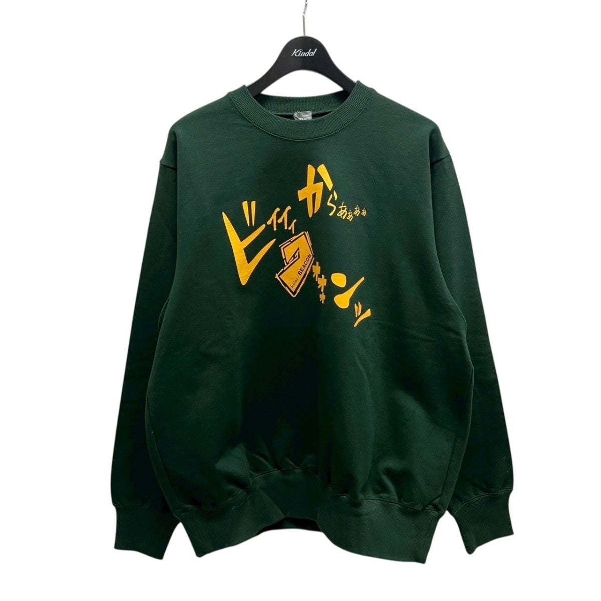 kolor / BEACON◇長袖カットソー/1/コットン/BLK/ボーダー/20WBM 