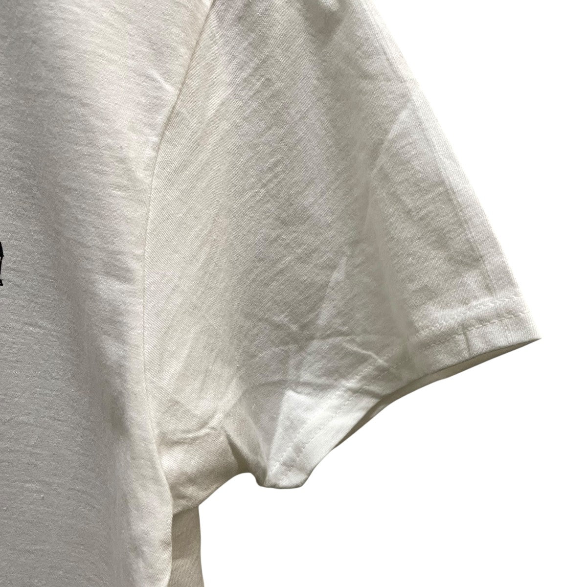 FRUIT OF THE LOOM×Tom Sachs バックプリントTシャツ 古着・中古-4枚目のアイテム画像