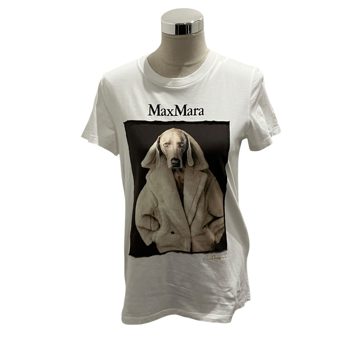 新品 MaxMara プリント Tシャツ ホワイト×キャメル XS 楽天市場】WEEKEND MAX MARA ウィークエンド マックスマーラ Tシャツ