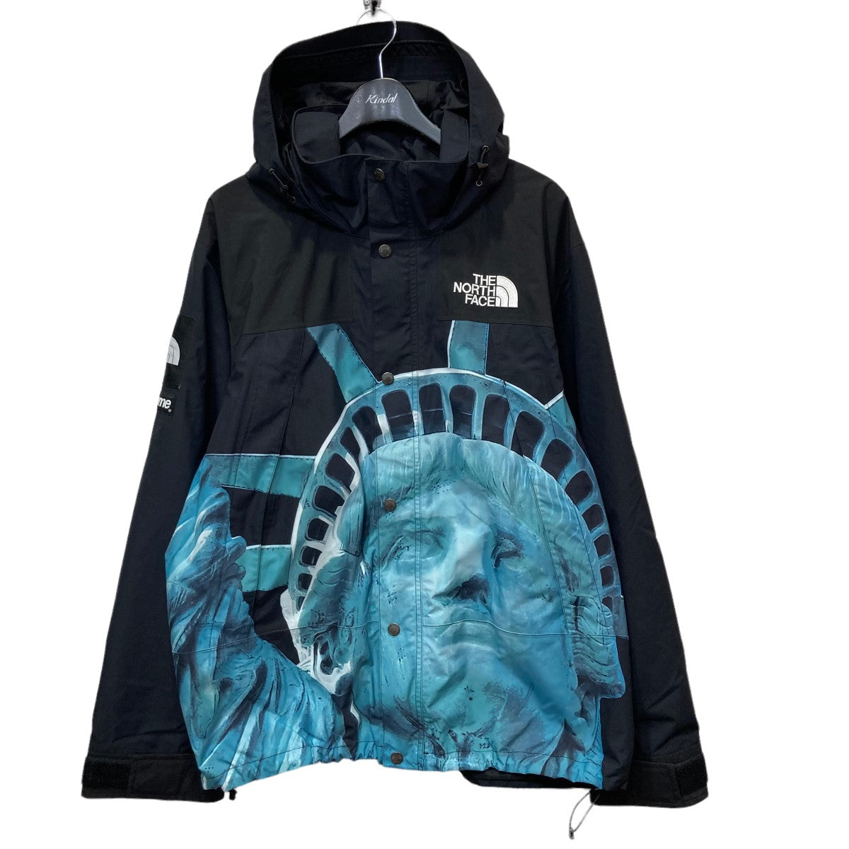 SUPREME×THE NORTH FACE 「Statue of Liberty Mountain Jacket 