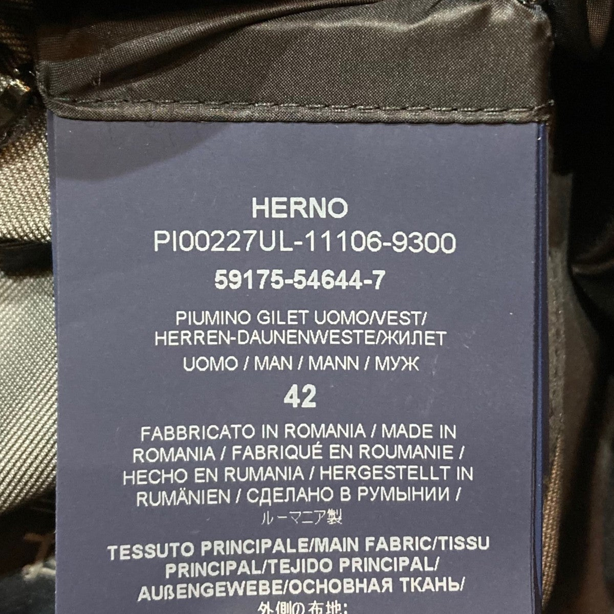 Laminar GORE-TEX ダウンベスト