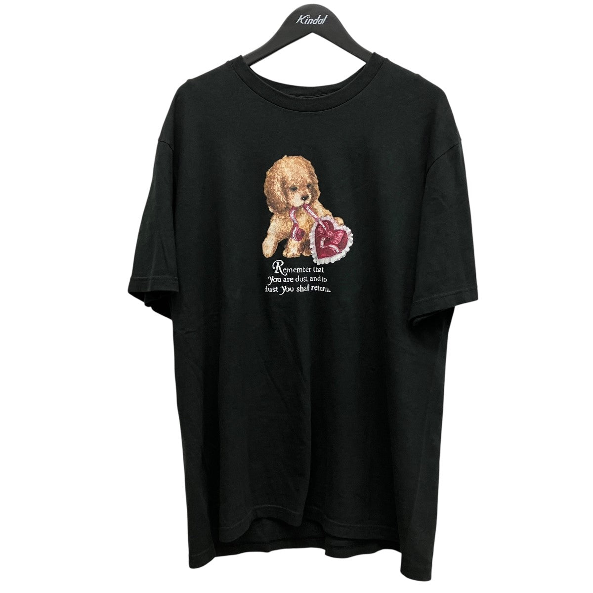 Supreme(シュプリーム) 25AWプリントTシャツDust Tee Dust Tee