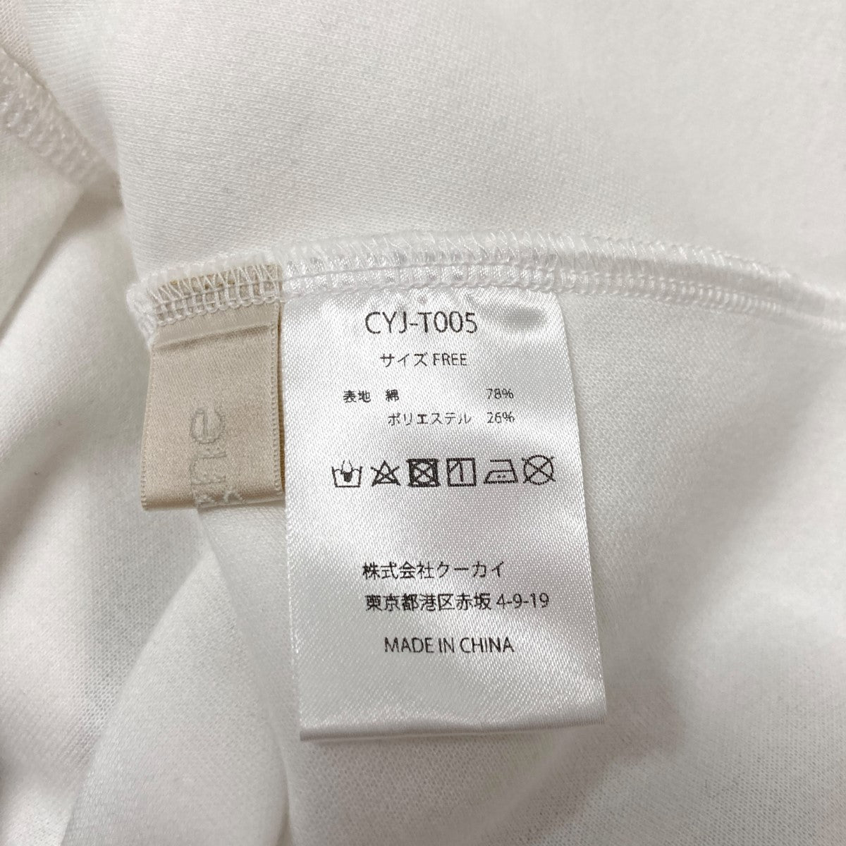 半袖カットソーCYJ T005