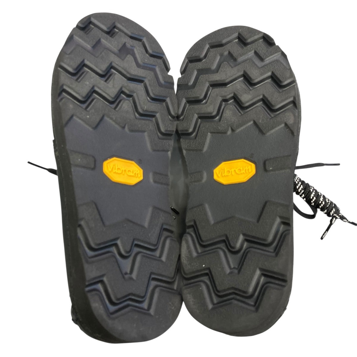 DESERT TREK GTXレザーシューズ61792090