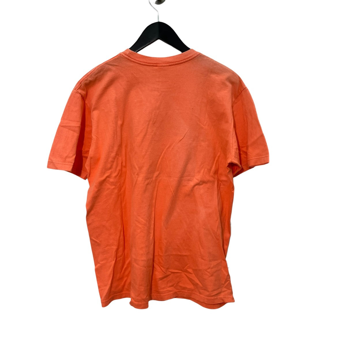 19SSLeda And The Swan Tee半袖Tシャツ