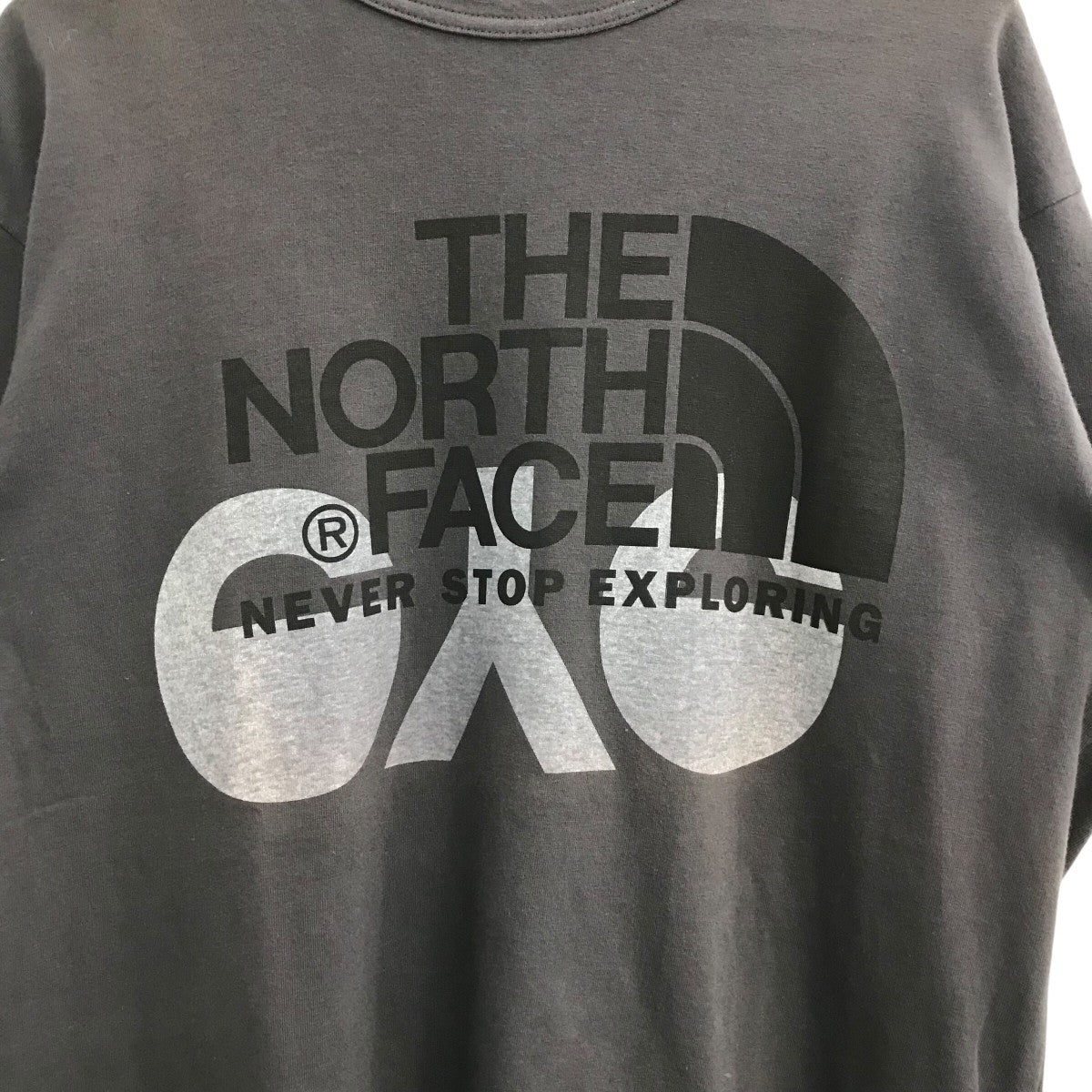 eYe CDG JUNYAWATANABE MAN×THE NORTH FACE プリントTシャツOR