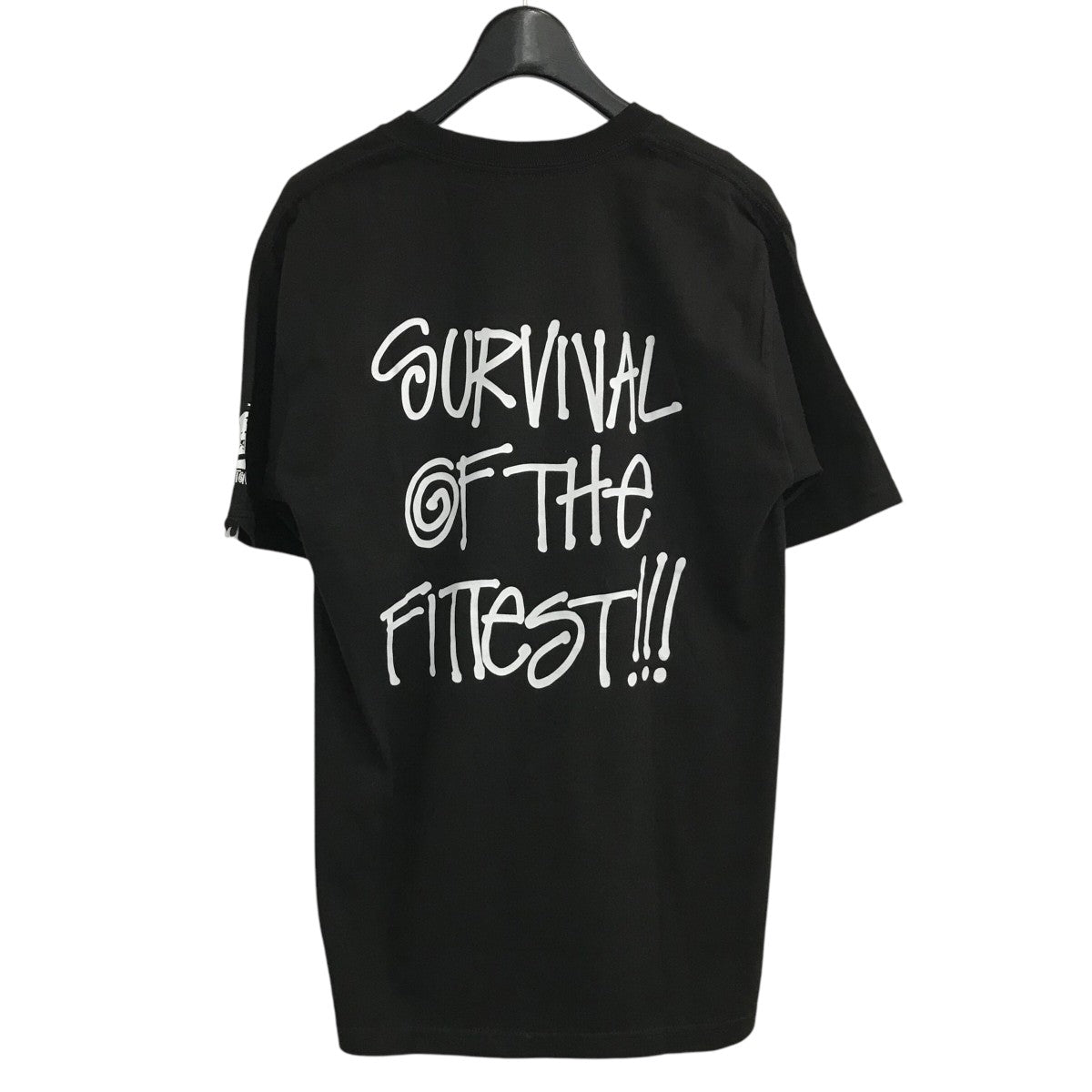 stussy×A BATHING APE A BATHING APE 30周年記念プリントTシャツ