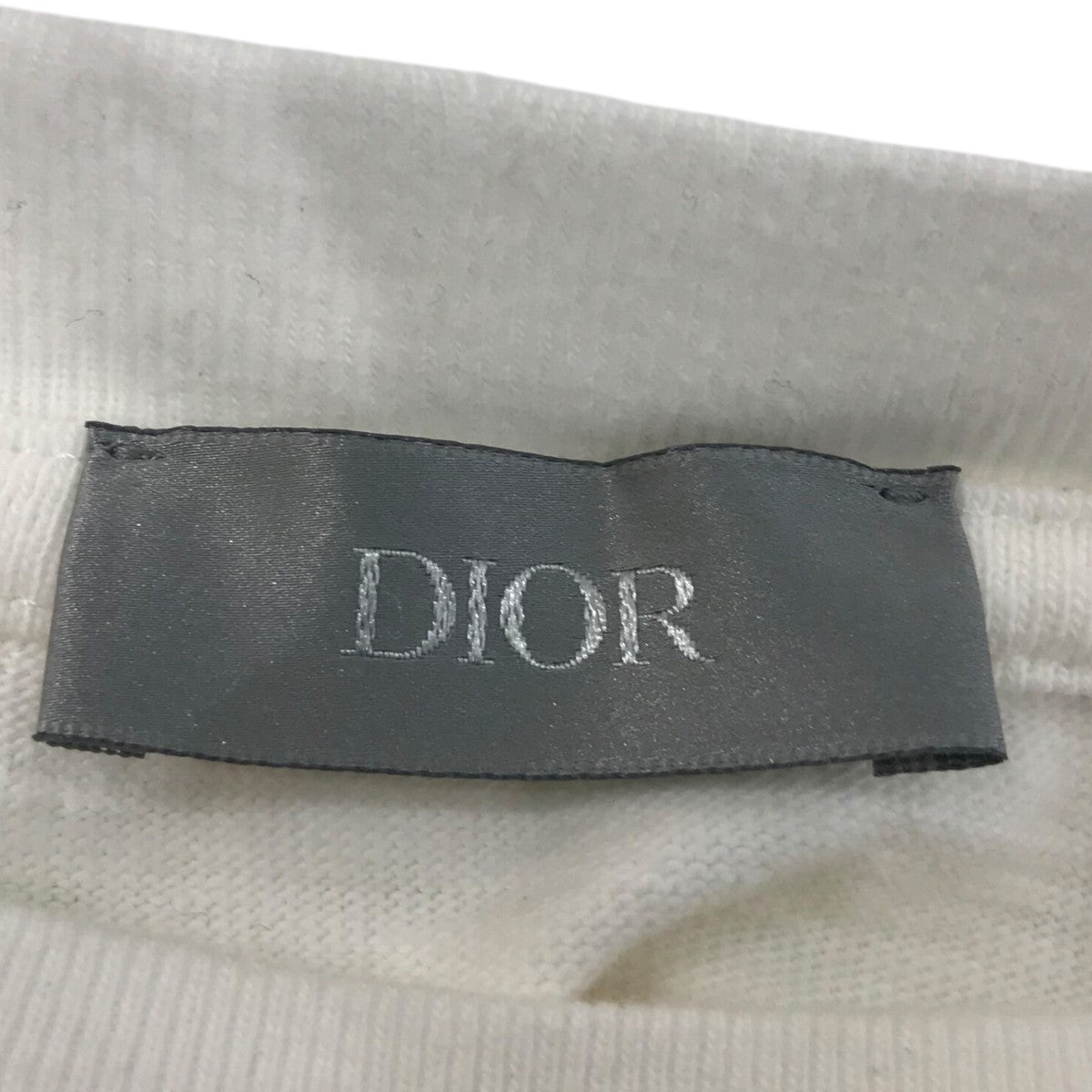 DIOR(ディオール) 24SSダメージ加工プリントTシャツ413J640A0849