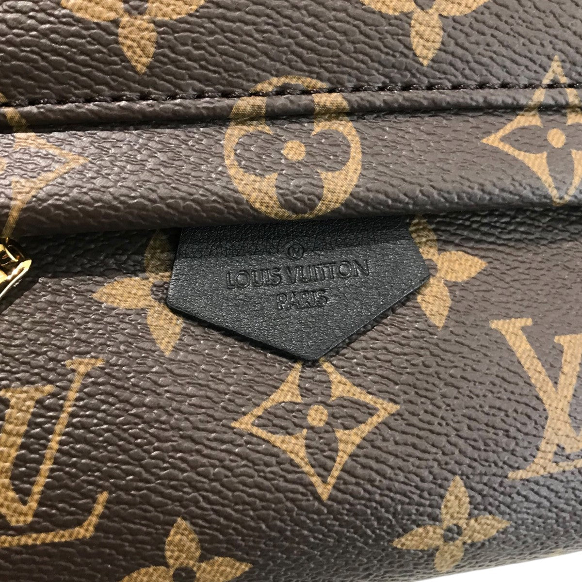 LOUIS VUITTON(ルイヴィトン) LVワールドツアーミニリュックﾊﾟｰﾑ