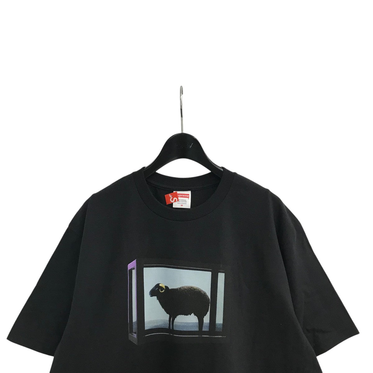 Supreme(シュプリーム) 25SS「Damien Hirst Tee」プリントT