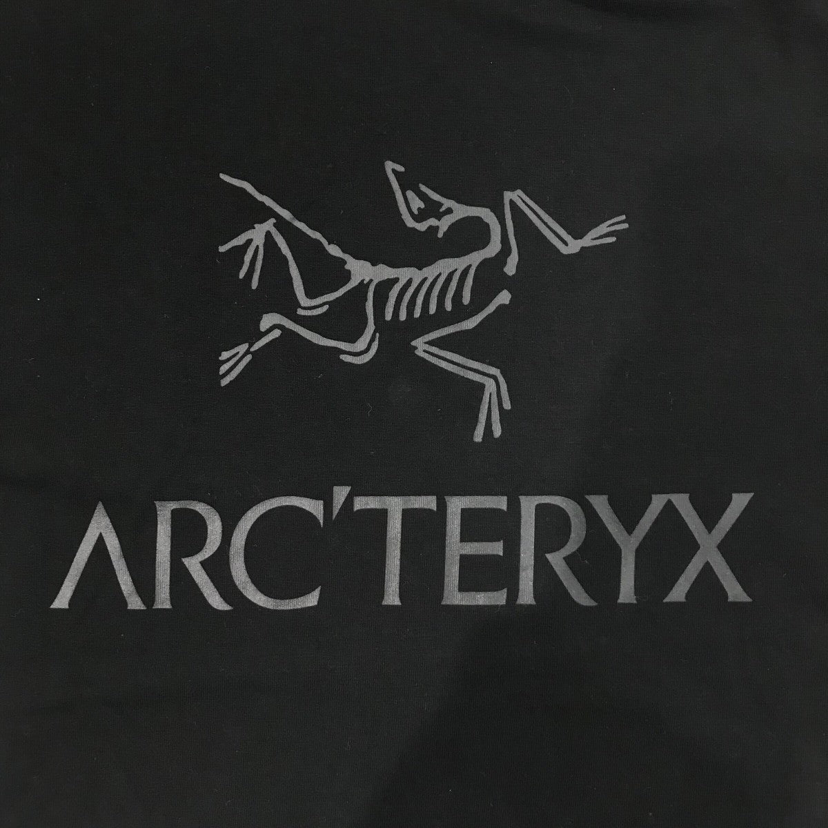 ARC'TERYX(アークテリクス) 「Arc'Word Logo S」ロゴプリントT