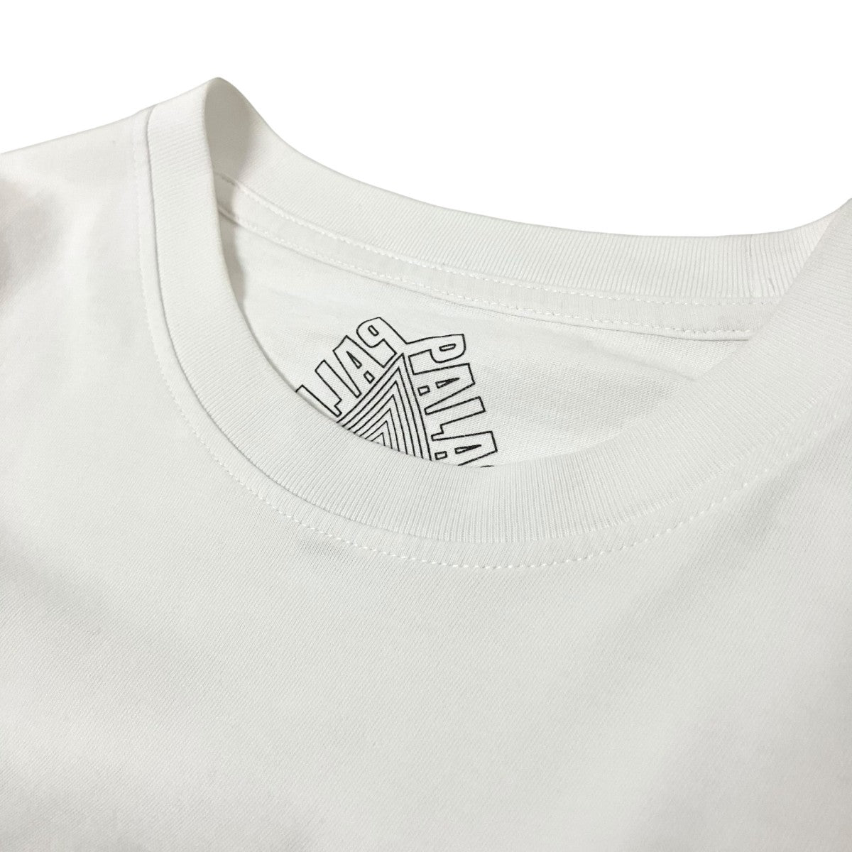 PALACE DMT DREAM T-SHIRT亀プリントTシャツ 古着・中古-3枚目のアイテム画像
