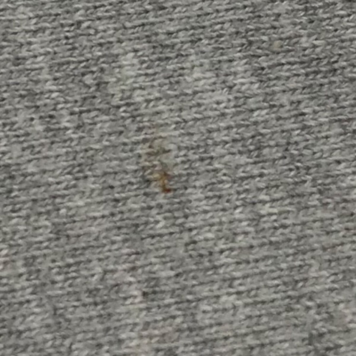 Denim Tears(デニムティアーズ) 「Class of 1619 Crewneck