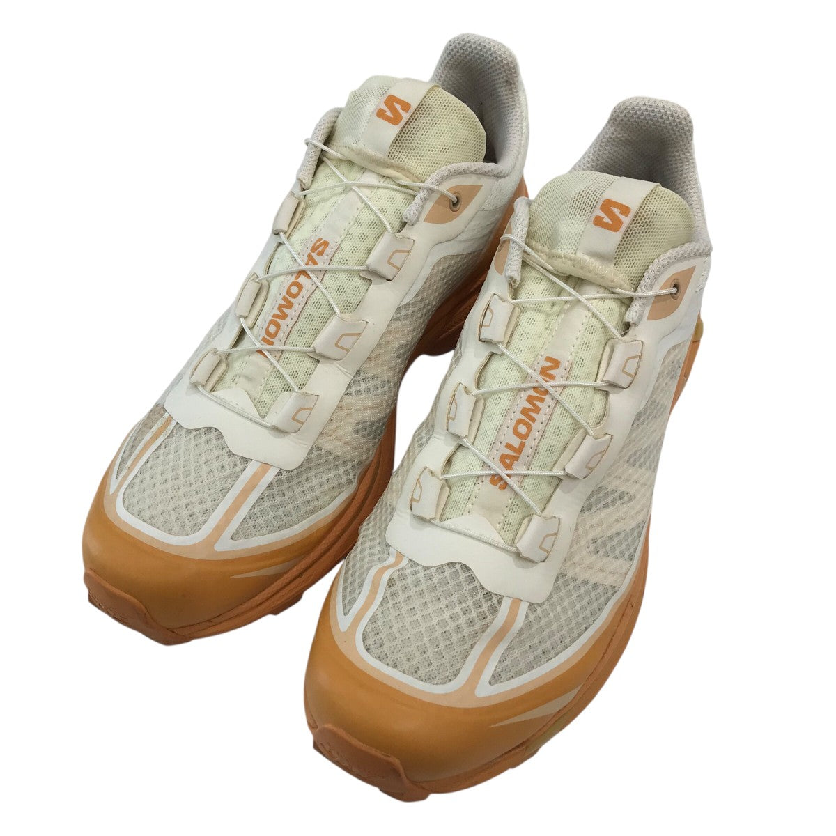 SALOMON サロモン　firstcall 152 楽天市場】サロモン メンズ 防水スニーカー X ブレイズ GTX