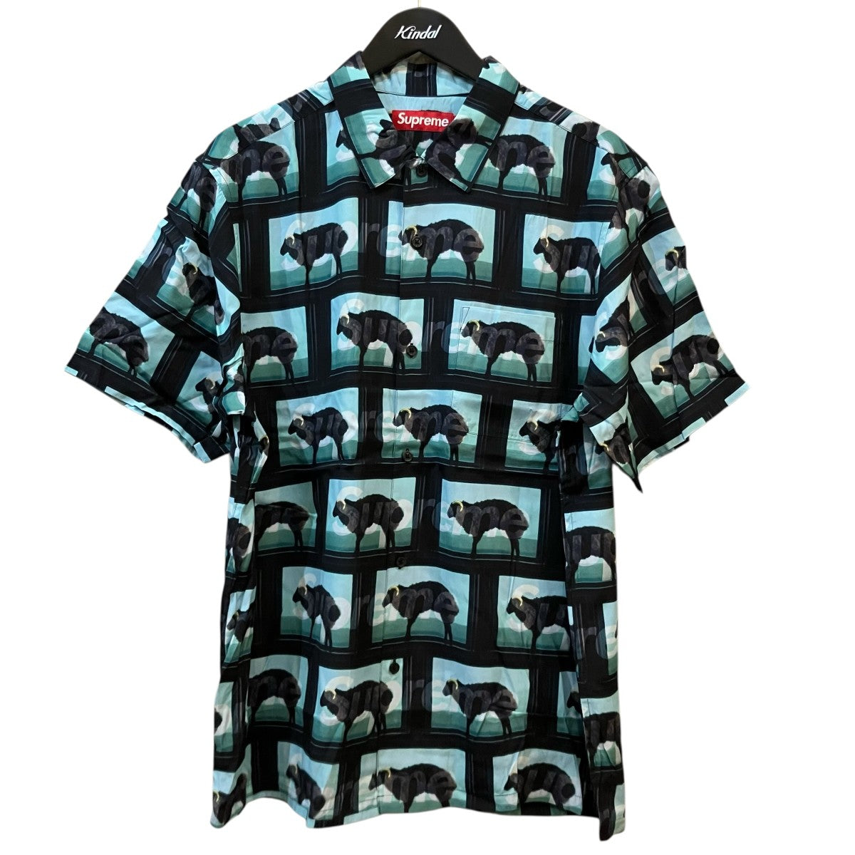 Supreme 25SS「Damien Hirst S S Shirt」半袖シャツ 古着・中古-1枚目のアイテム画像