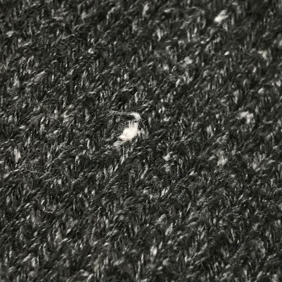 YOKE(ヨーク) 22SS「PRINTED COTTON CREWNECK SWEATER」クルーネック