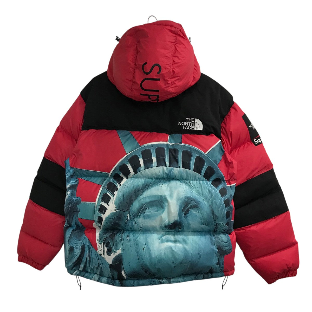 Supreme×THE NORTH FACE Coldworks 700-Fill Down Parkaダウン