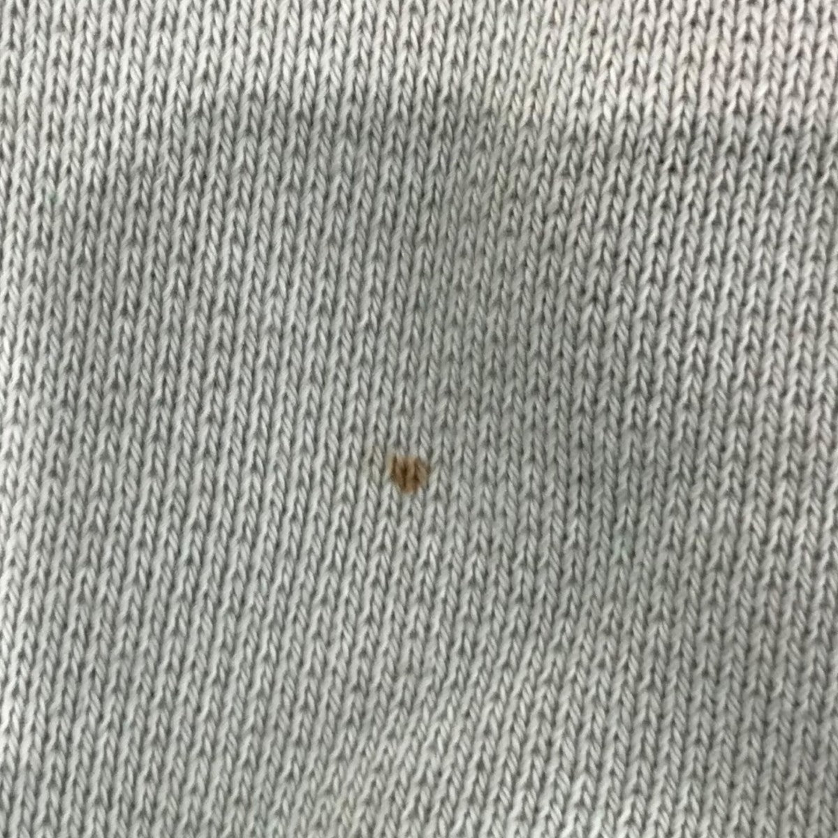 ALEXANDER WANG(アレキサンダーワン) ブリーチスウェット ブラウン