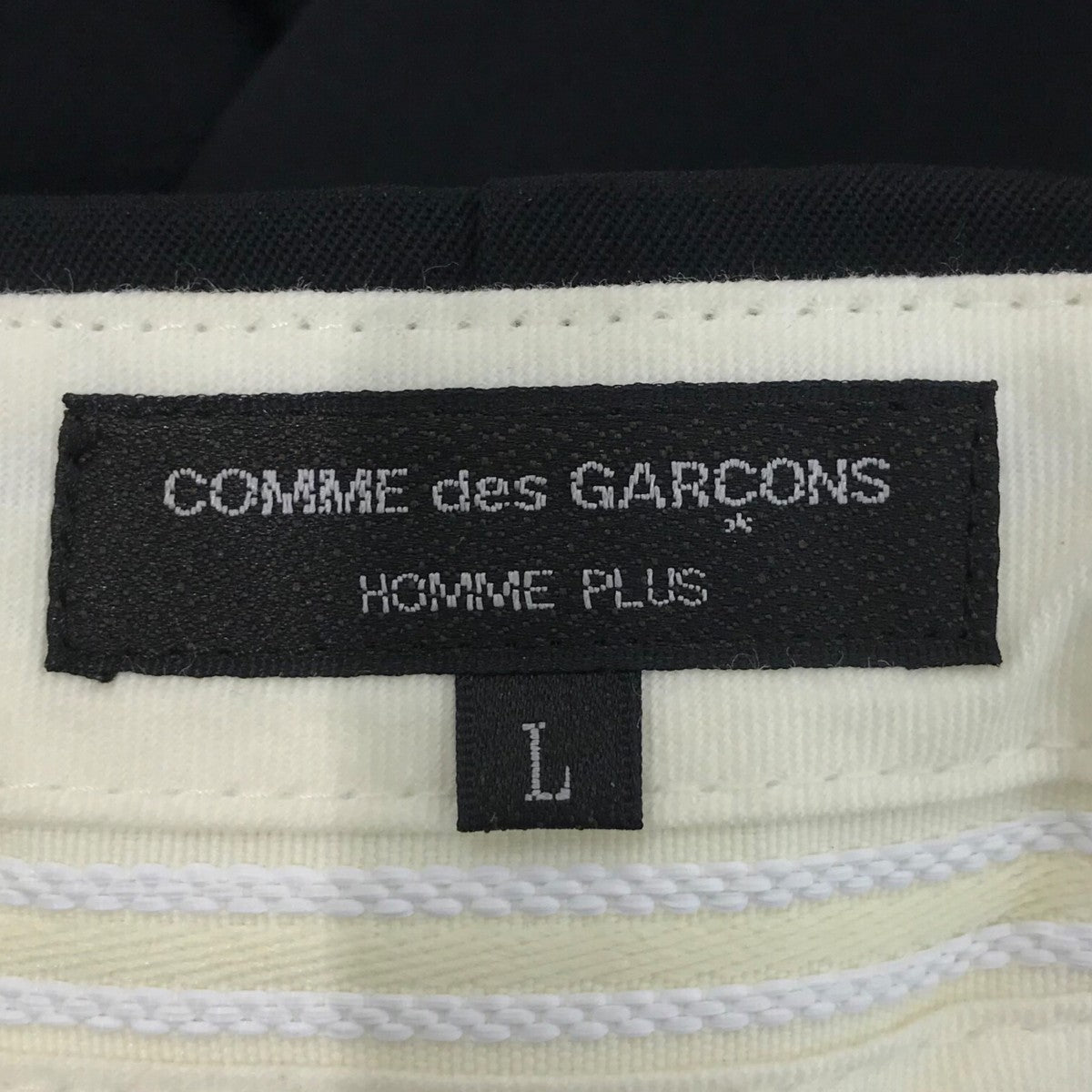 COMME des GARCONS HOMME PLUS(コムデギャルソンオムプリュス) 2タック