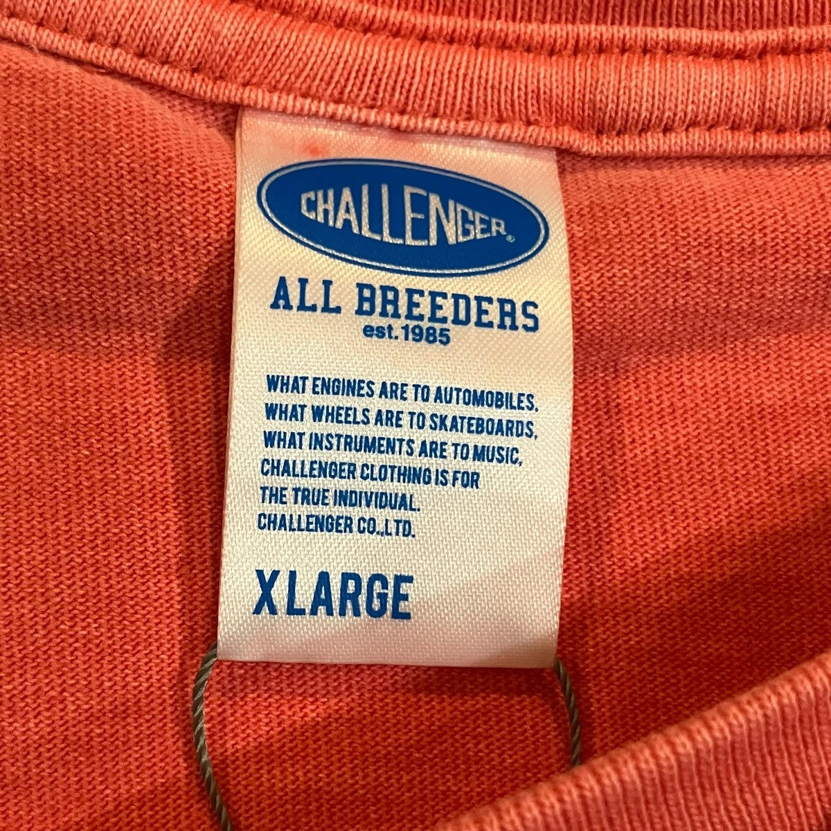 CHALLENGER PIGMENT LOGO TEE ピグメントロゴTシャツ 古着・中古-5枚目のアイテム画像
