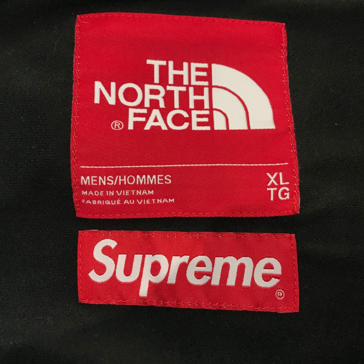 19SS「Arc Logo Mountain Parka」アーチロゴマウンテンパーカーNF0A3VMM