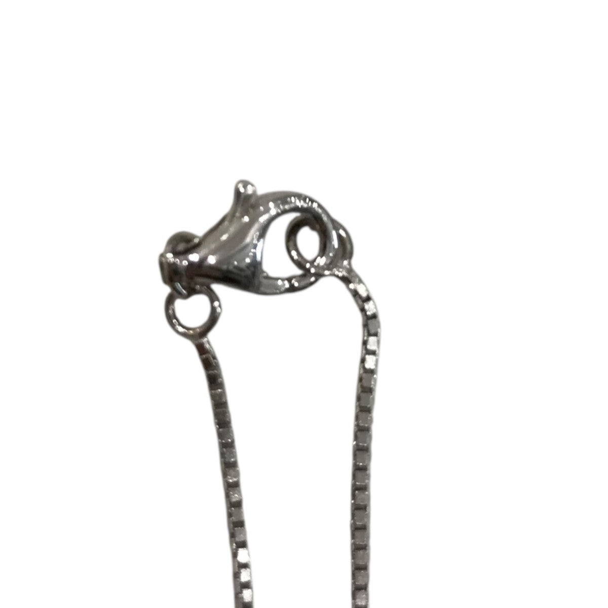 Supreme×JACOB＆CO． 「Zodiac Pendant(Leo)」レオペンダント 古着・中古-5枚目のアイテム画像