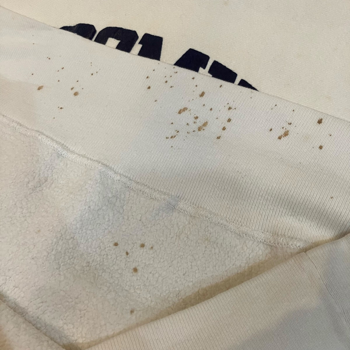 Champion 80s「トリコタグ LYCOMING COLLEGE」リバースウィーブスウェット 古着・中古-9枚目のアイテム画像
