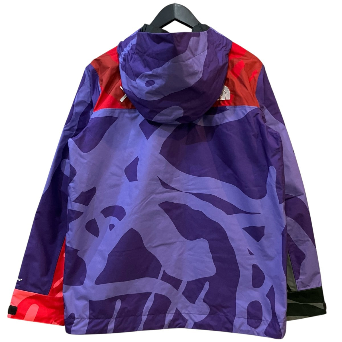 THE NORTH FACE×KAWS 「1986 Mountain Jacket kaws」マウンテンジャケットNF0A7WLY 古着・中古-2枚目のアイテム画像