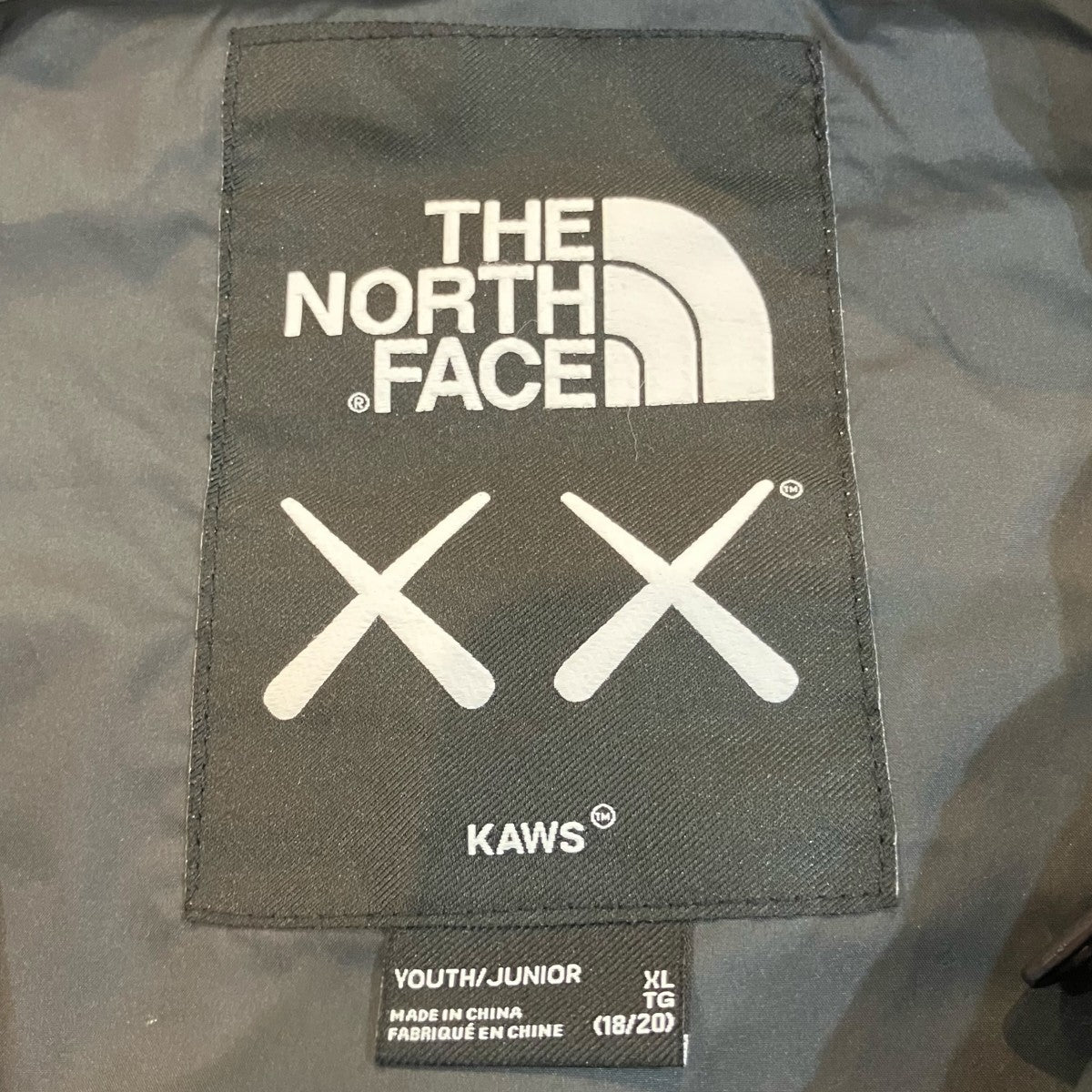 THE NORTH FACE×KAWS 「1986 Mountain Jacket kaws」マウンテンジャケットNF0A7WLY 古着・中古-6枚目のアイテム画像