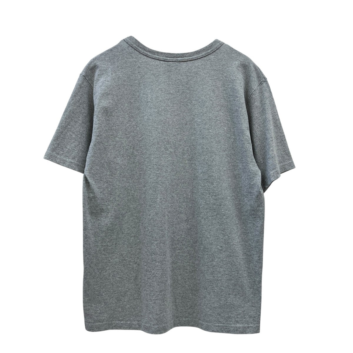 Champion MASTER PIECEプリントTシャツ 古着・中古-2枚目のアイテム画像