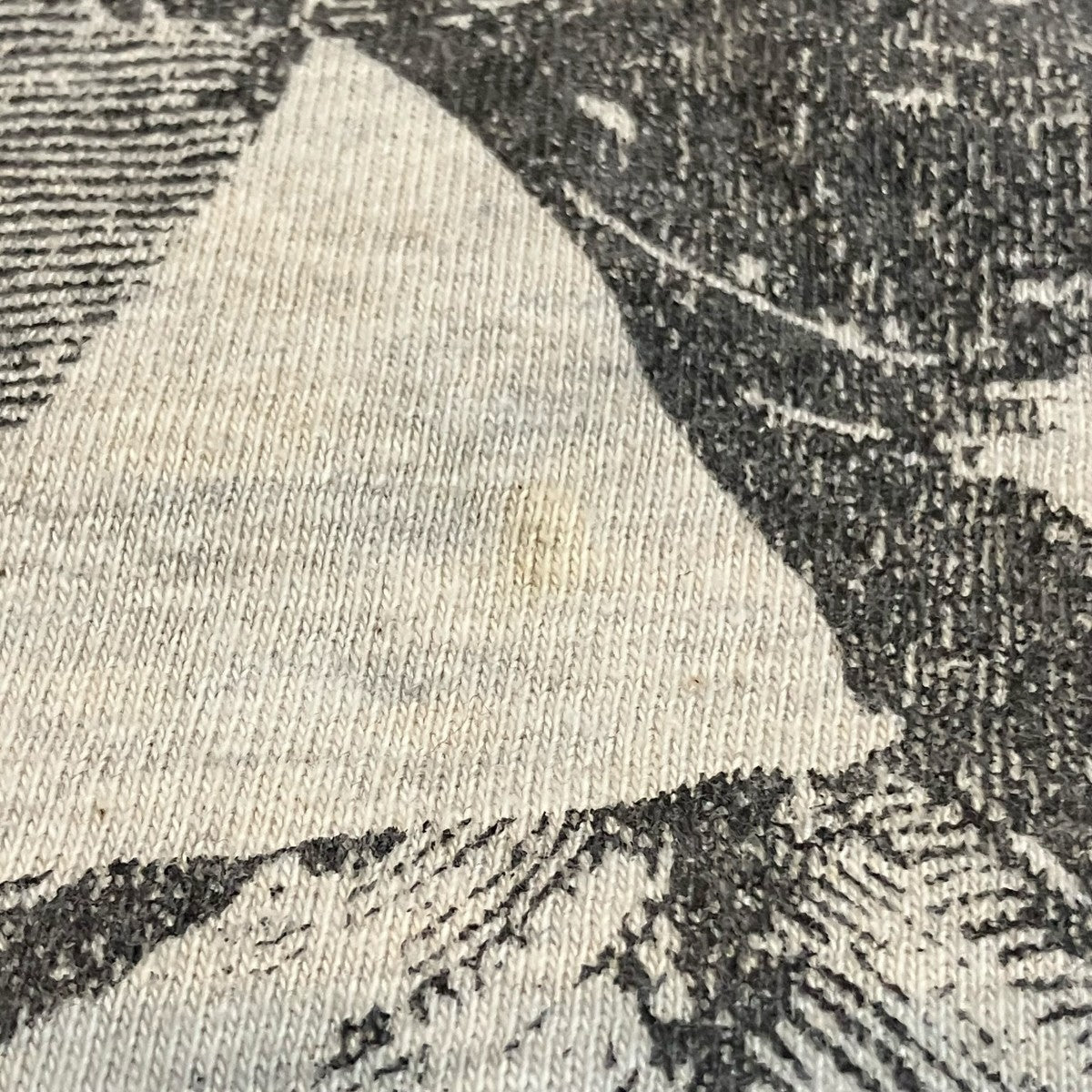 KAPITAL ベートーベンプリントＴシャツ 古着・中古-5枚目のアイテム画像