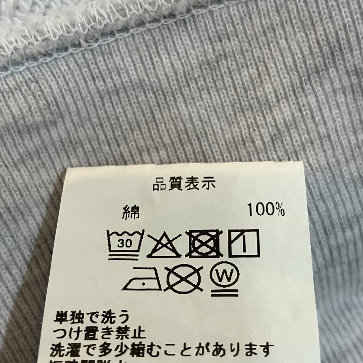 プリントスウェットフーディCES29CS06