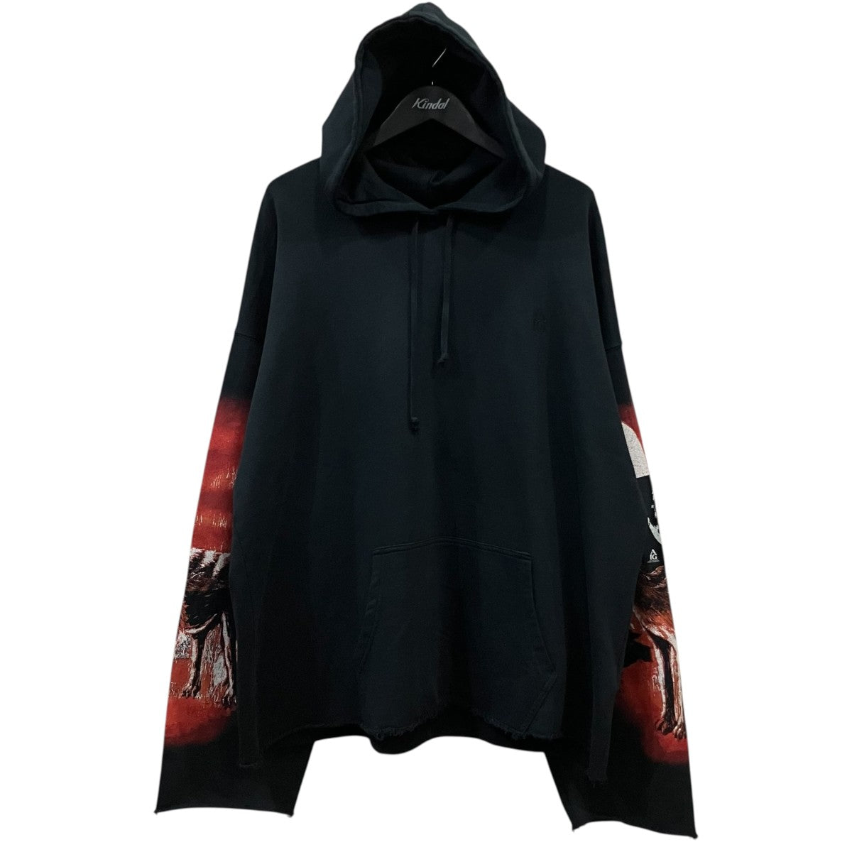 achiless ion gabriel バックプリントパーカー 古着・中古-1枚目のアイテム画像