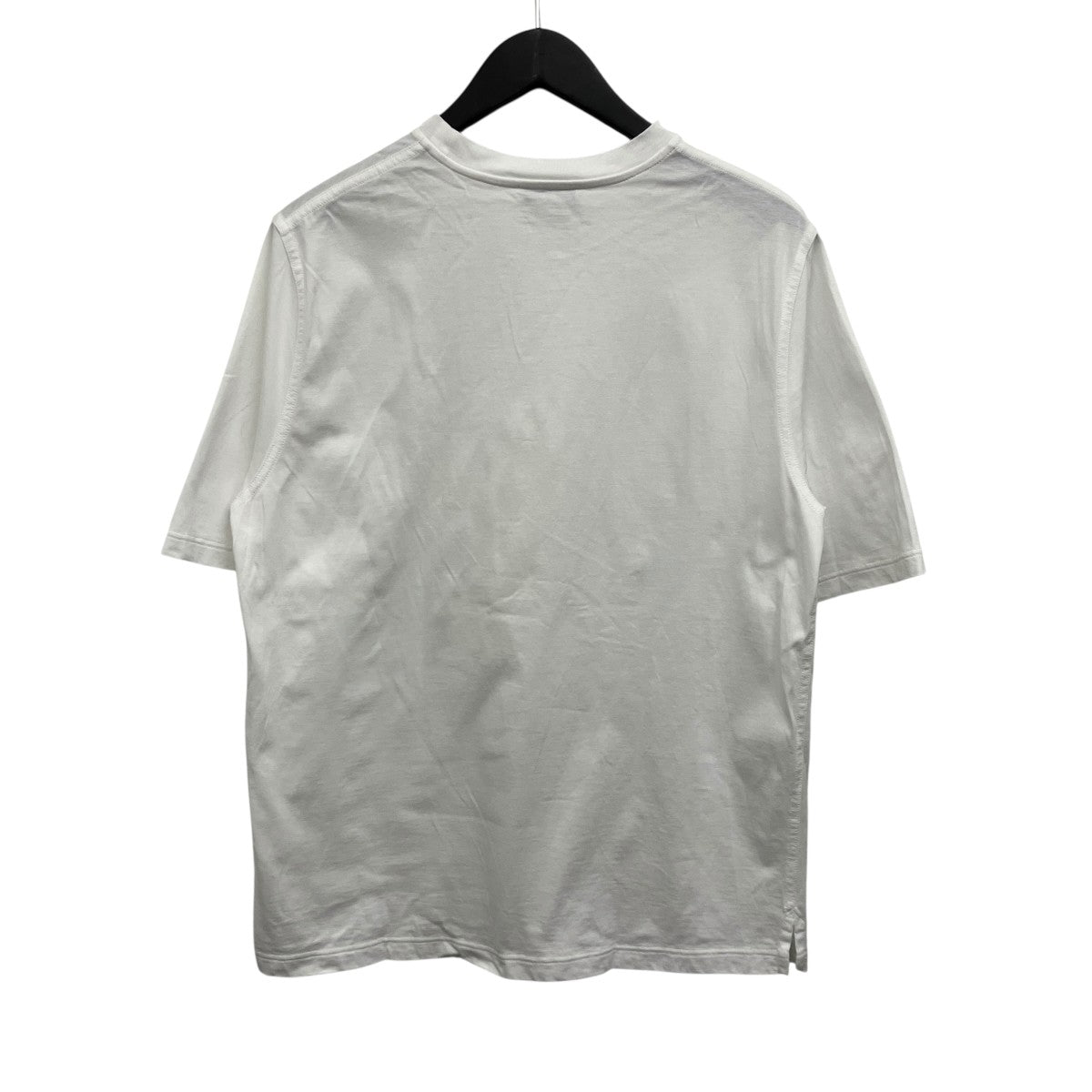 ホースインTシャツ