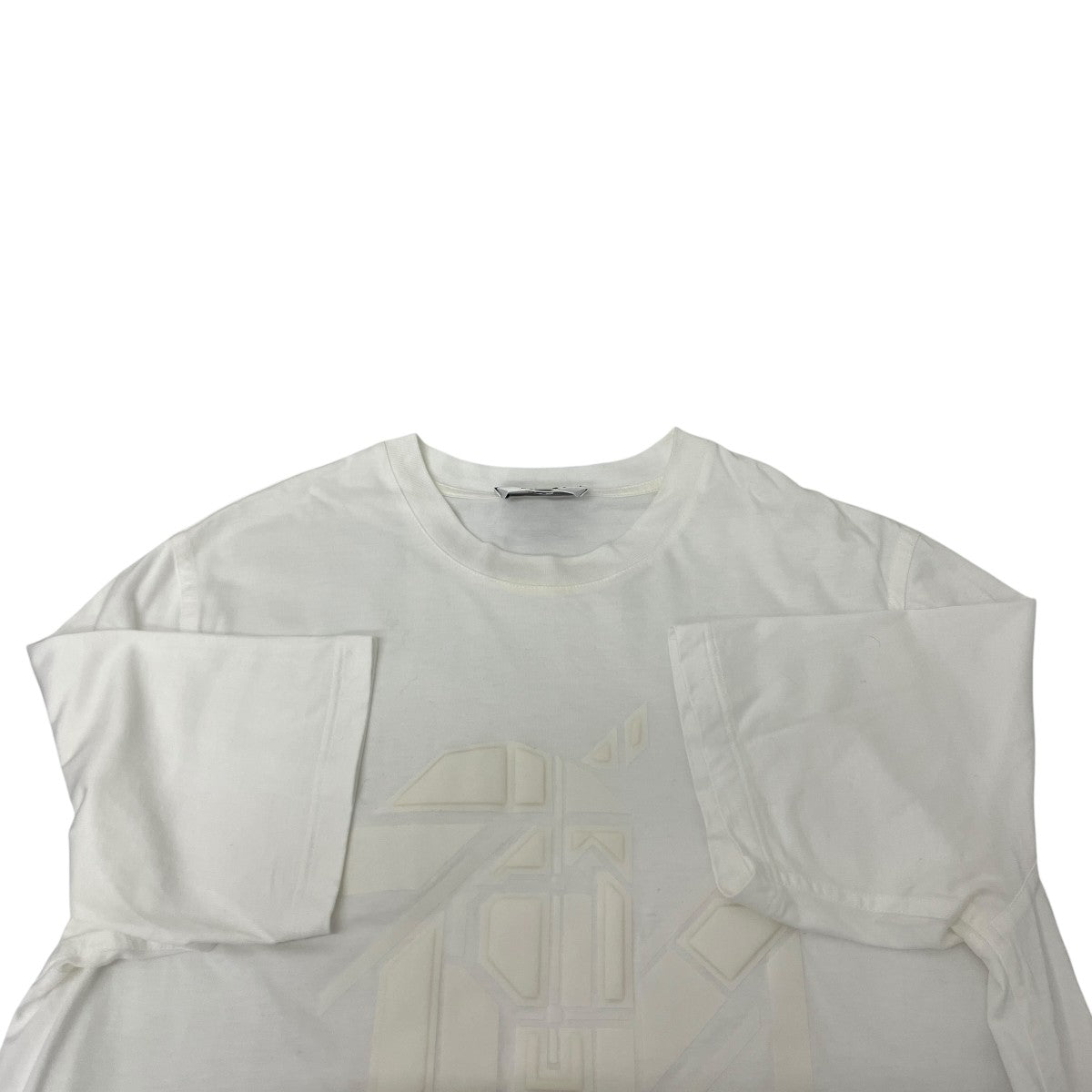 ホースインTシャツ