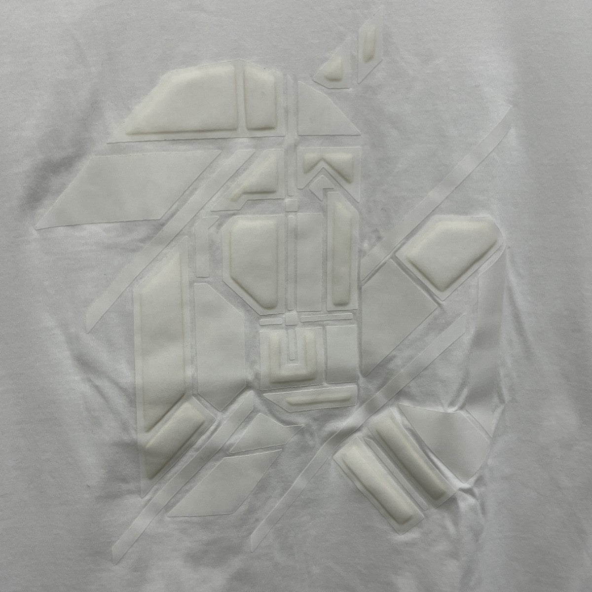 ホースインTシャツ