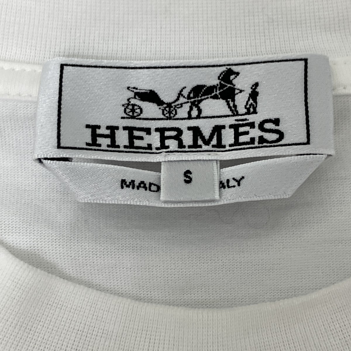 ホースインTシャツ