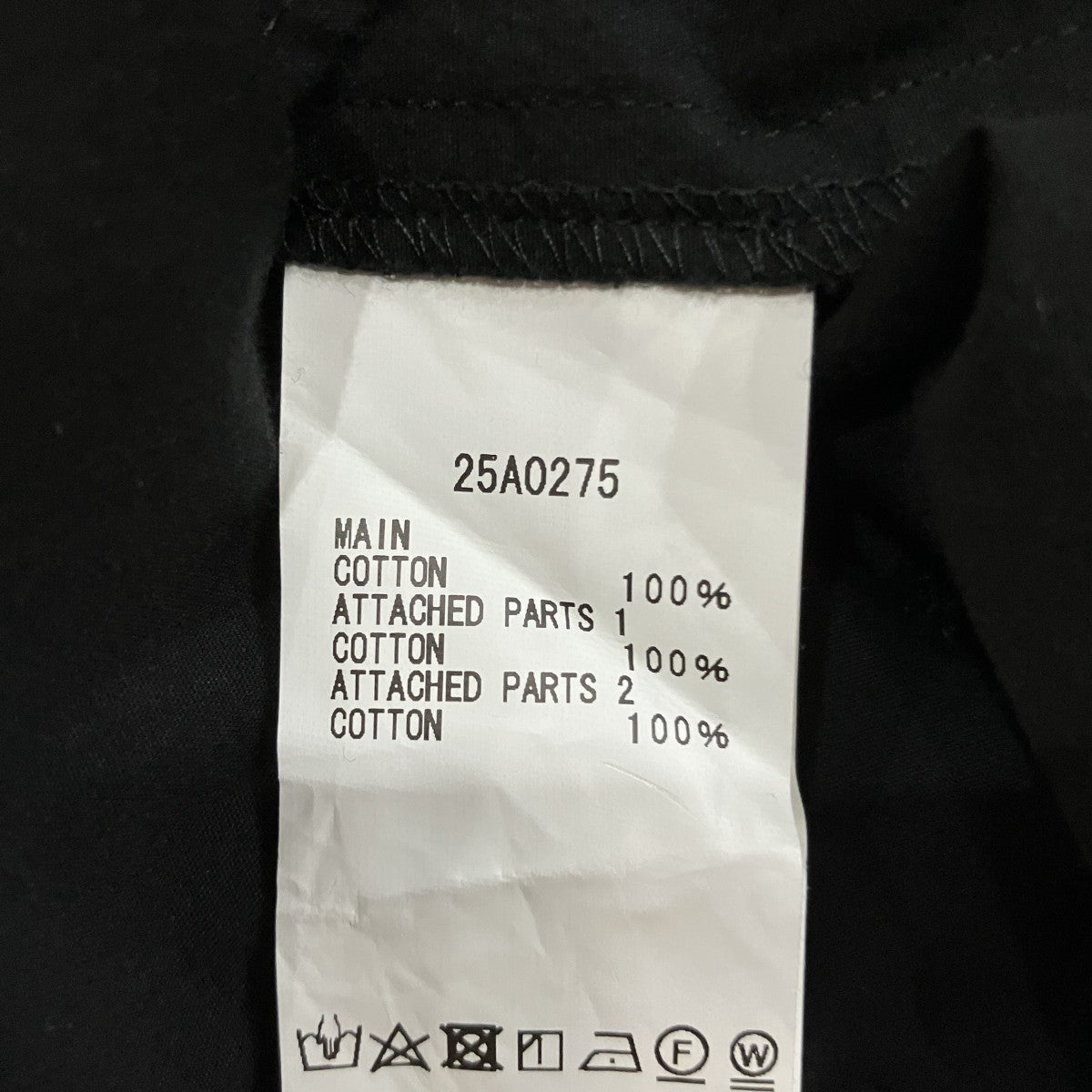 デザインシャツ25A0275