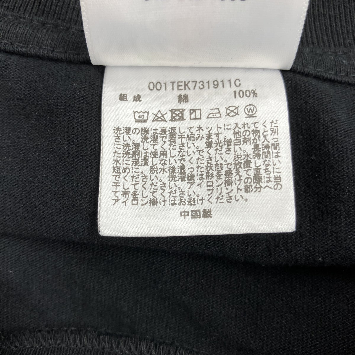 半袖Tシャツ001tek731911c