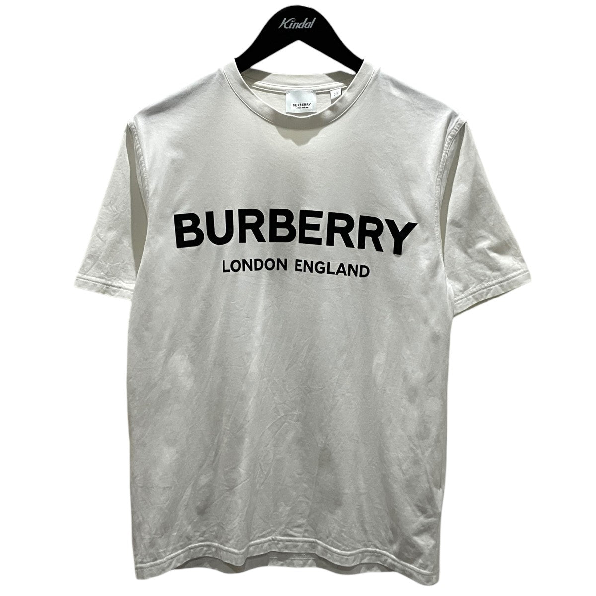ロゴTシャツ8026017