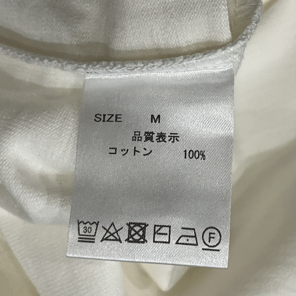 BIG WILLY SPORYS TEE