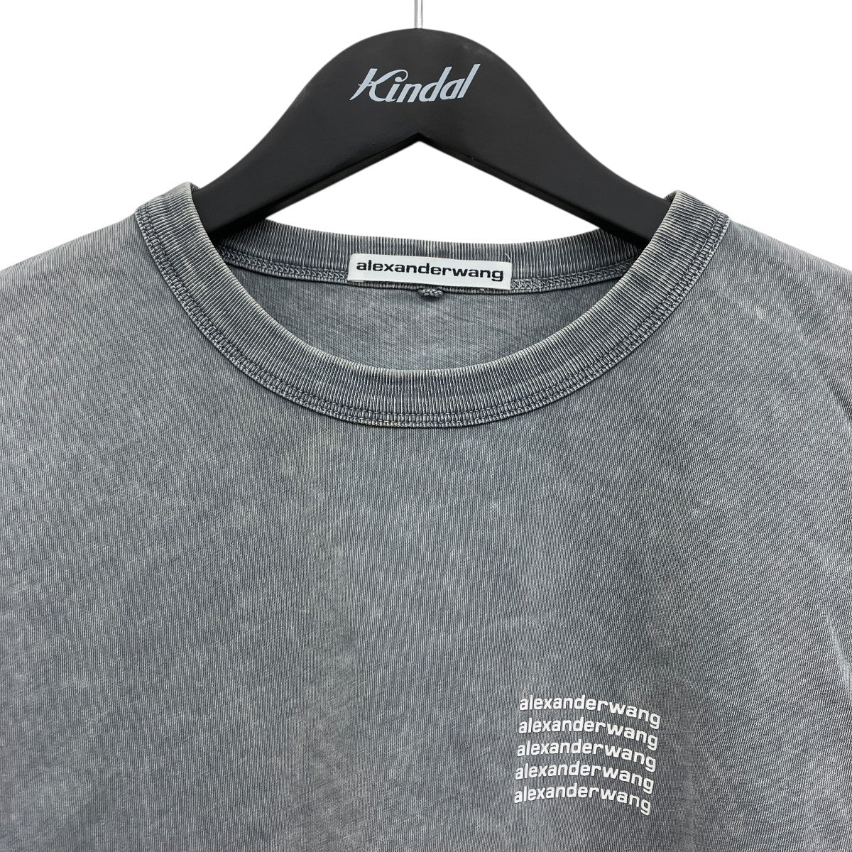 ロゴショート丈Tシャツ