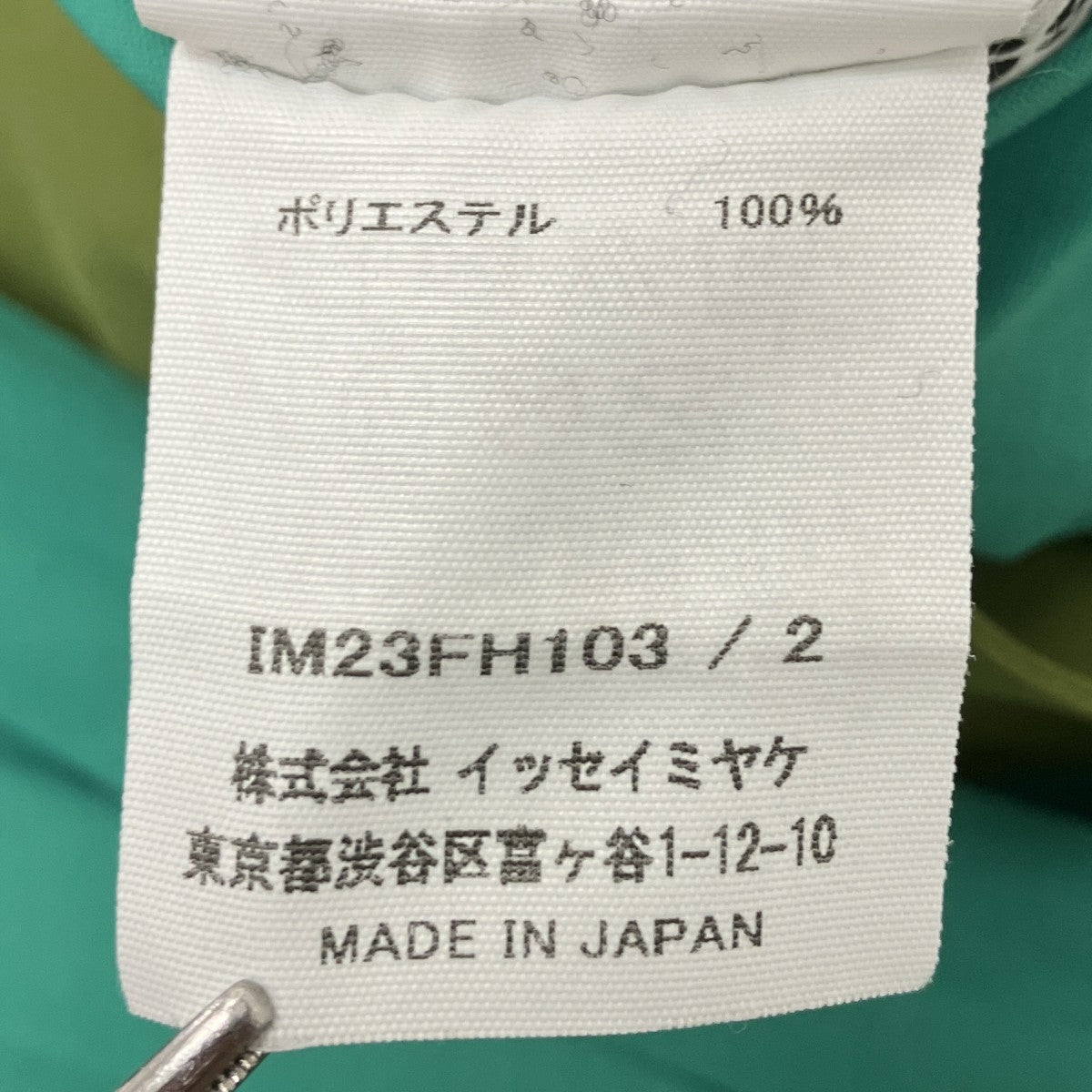 ISSEY MIYAKE FRONDS 変形プリーツワンピース 古着・中古-6枚目のアイテム画像